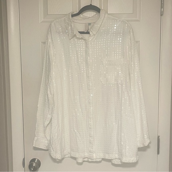 Pilcro James Sequined Tunic (Anthropologie) - Picture 4 of 6